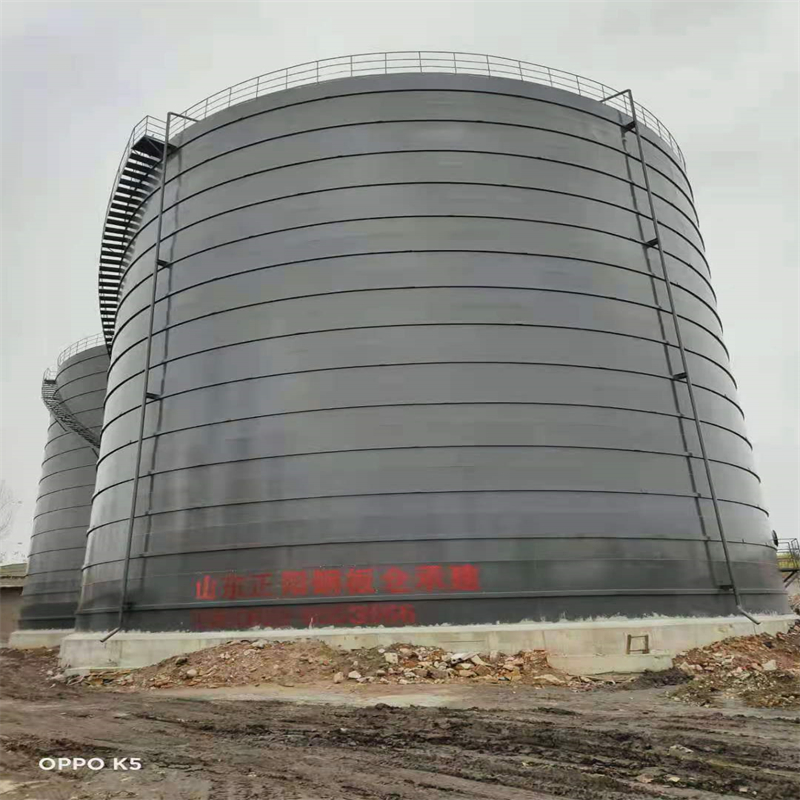 桂阳3万吨大型钢板库