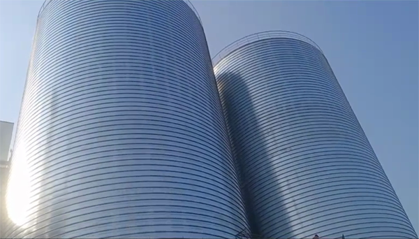 桂阳2座混凝土高架卷板仓